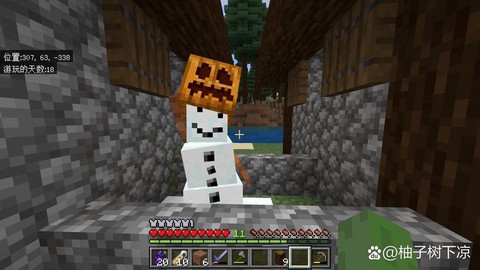 我的世界变异雪傀儡怎么做[图1]