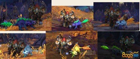 魔兽世界影豹怎么抓[图1]