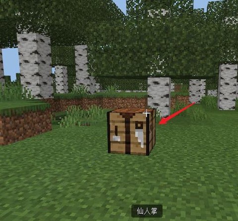 我的世界绿色条是什么[图2]