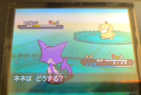 口袋妖怪黑2海底遗迹有什么