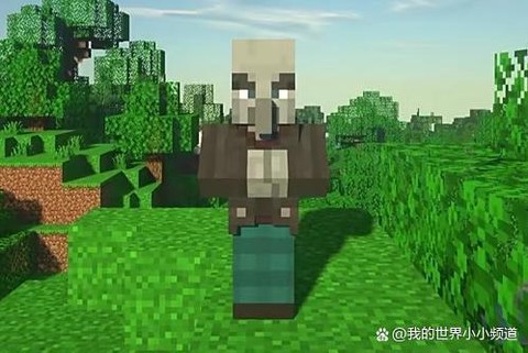 我的世界卫道士是什么[图2]