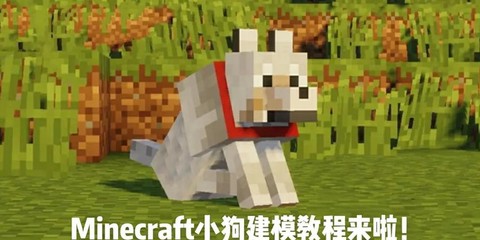 我的世界狗怎么喝水