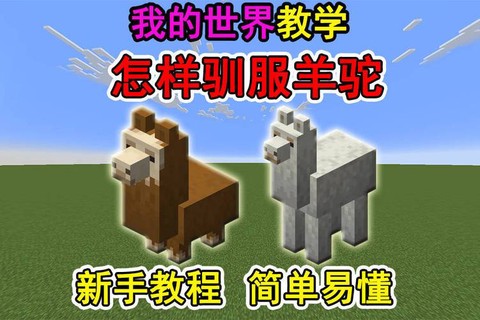 我的世界怎么驯服羊[图1]