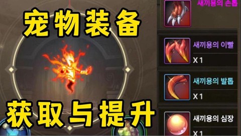 dnf宠物有什么用