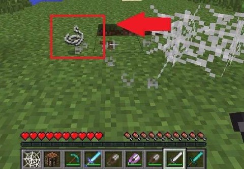 我的世界蛛丝怎么得[图1]